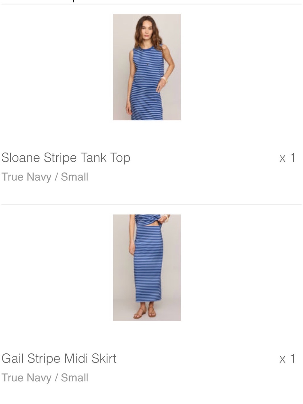 Z Supply True Navy Stripe Tank & Gail Midi Skirt Set